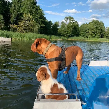 Апартаменты Domki Na Wodzie Warminskie Pompeje *