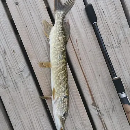 Domki Na Wodzie Warminskie Pompeje Апартаменты *