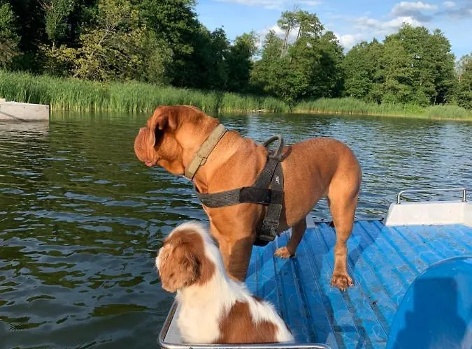 Apartament A Na Wodzie 1 Z 4 Domków *