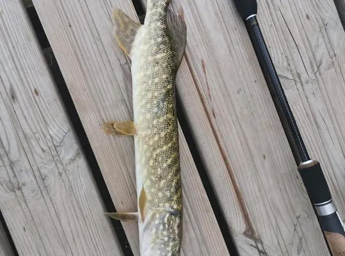 A Na Wodzie 1 Z 4 Domków Apartament *